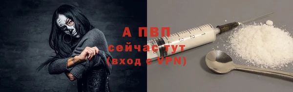сатива Володарск