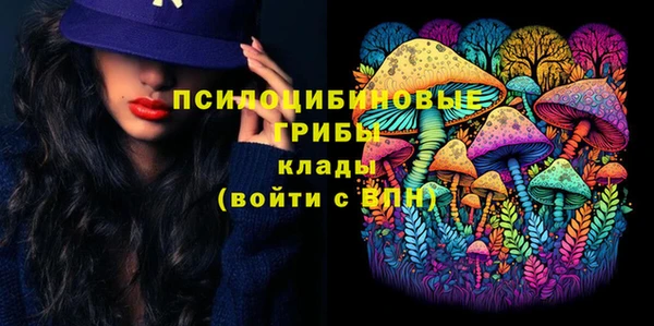 сатива Володарск