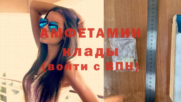 сатива Володарск